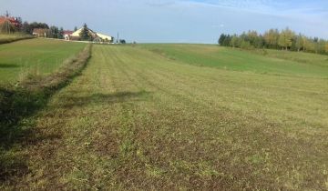 Działka rolno-budowlana Sejny