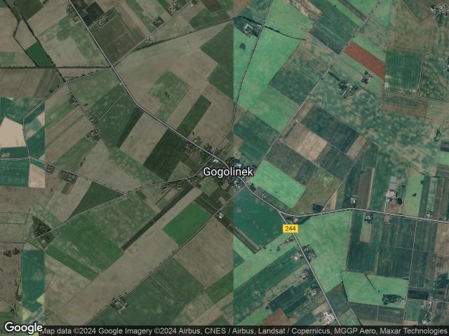 Działka rolna Gogolinek. Zdjęcie 1