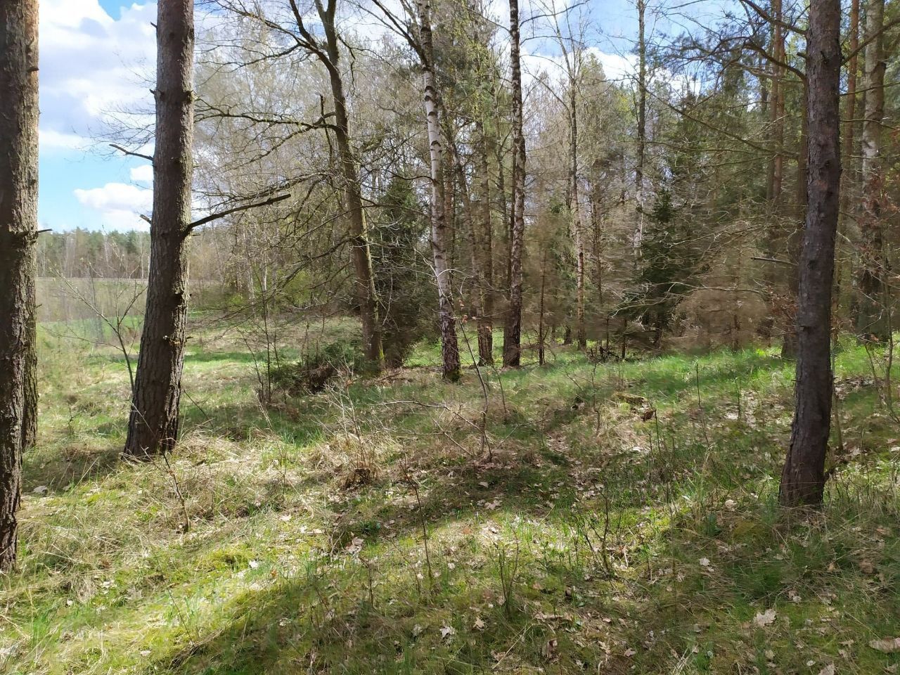 Działka budowlana Jałowiec, ul. Łąki. Zdjęcie 23