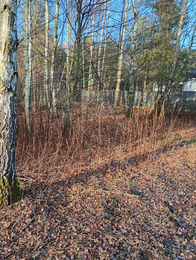 Działka budowlana Radonie. Zdjęcie 2