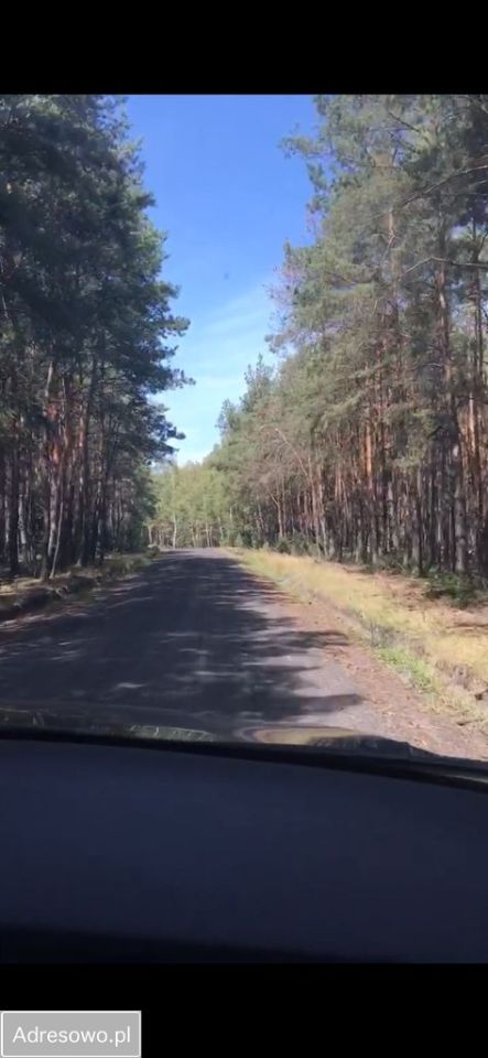 Działka rolno-budowlana Olszynki. Zdjęcie 2