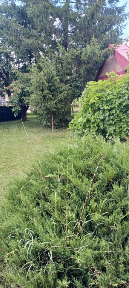 Działka rod Lublin Choiny, ul. Czeremchowa. Jakubowice Konińskie. Zdjęcie 7