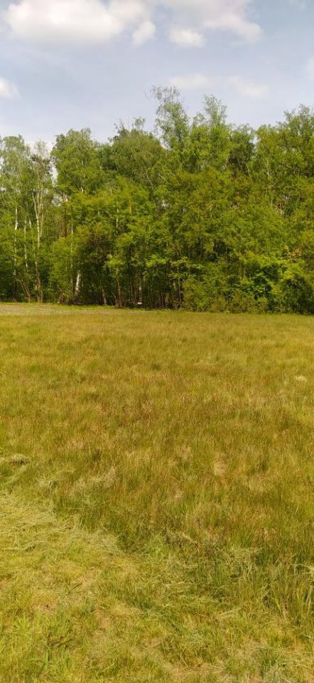 Działka budowlana Skotniki. Zdjęcie 9