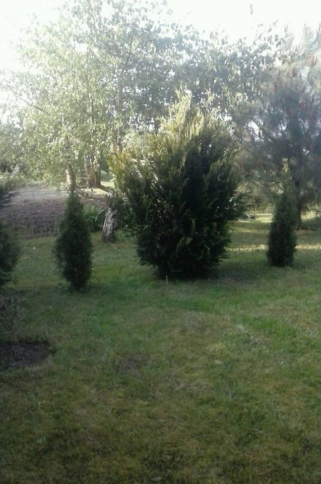 Działka budowlana Gorzów Wielkopolski Wieprzyce, ul. Dolna. Zdjęcie 18