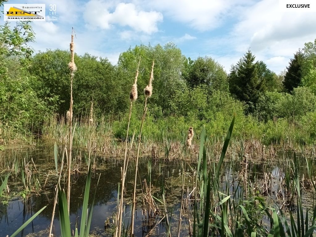 dom letniskowy, 5 pokoi Binowo. Zdjęcie 25