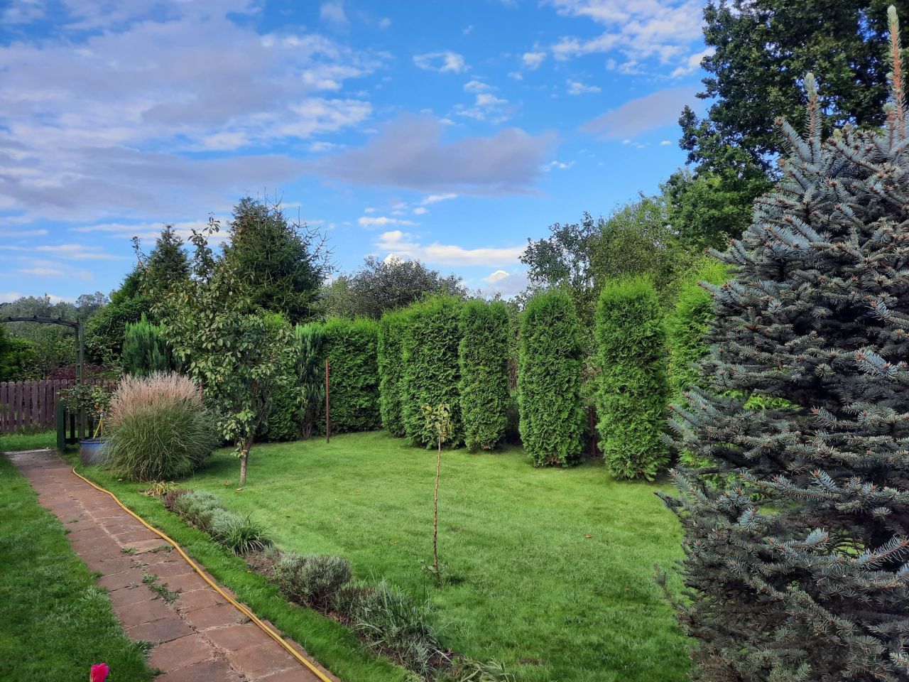 Działka rod Toruń, ul. Stanisława Przybyszewskiego. Zdjęcie 8