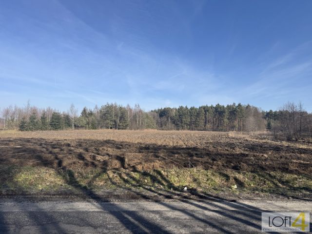 Działka rolno-budowlana Smyków. Zdjęcie 3