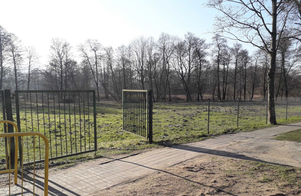 Działka rolna Bożepole Wielkie, ul. Lęborska. Zdjęcie 3