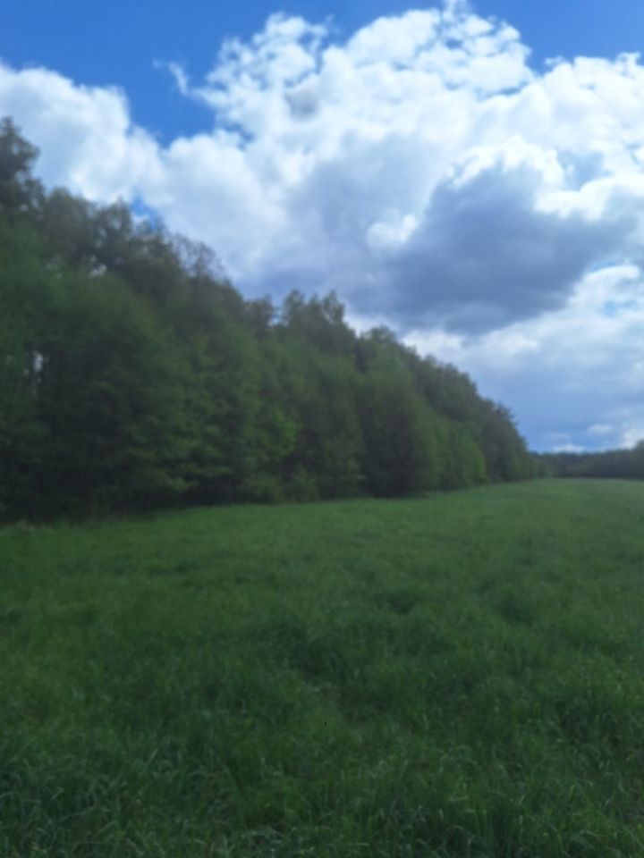 Działka leśna Rostki