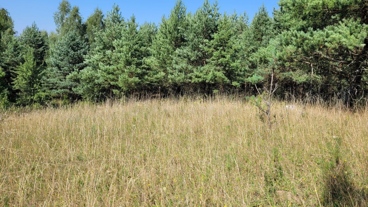 Działka budowlana Cierzpięty. Zdjęcie 10