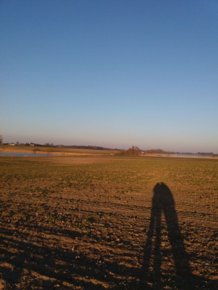 Działka rolna Kuczwały. Zdjęcie 7