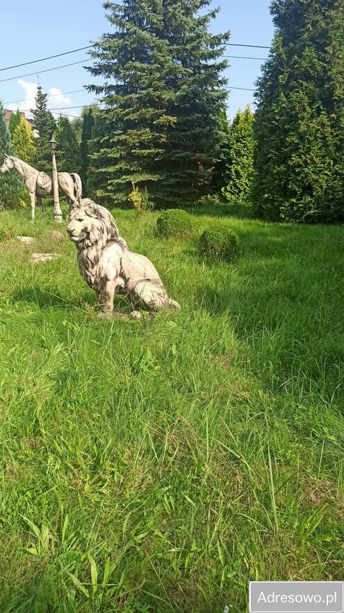 Działka budowlana Rudniki. Zdjęcie 2