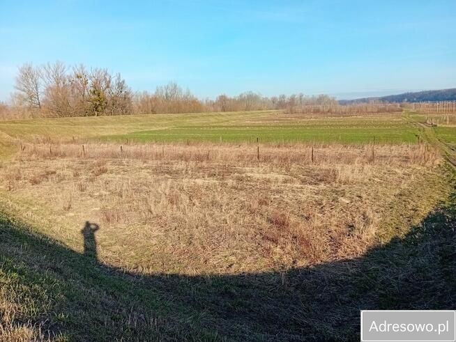 Działka rolna Parchatka. Zdjęcie 10