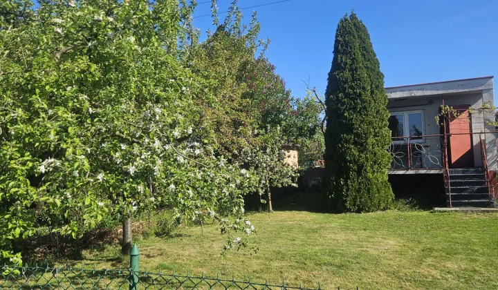 Działka rod Słupca, ul. Romualda Traugutta