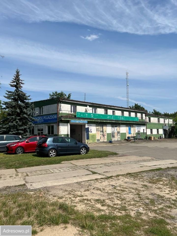 Hala/magazyn Pniewy, ul. Konińska. Zdjęcie 6