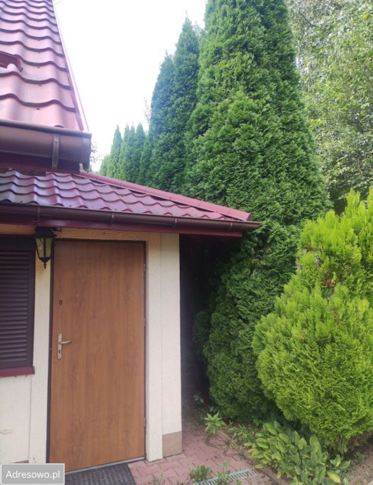 Działka rolno-budowlana Winiary. Zdjęcie 15