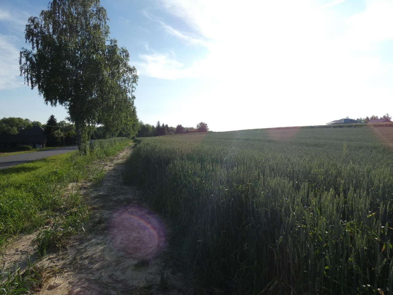 Działka budowlana Piotrowice. Zdjęcie 7