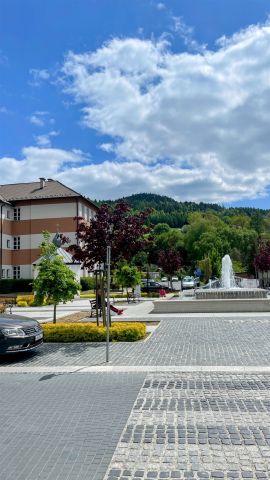 Mieszkanie 2-pokojowe Muszyna. Zdjęcie 4