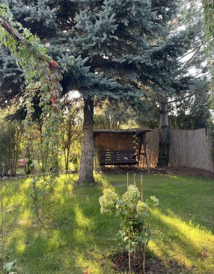 Działka rod Kalisz, ul. Pogodna. Zdjęcie 4