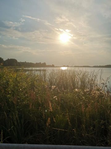 Działka budowlana Wola Korybutowa Druga. Zdjęcie 2