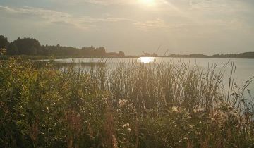 Działka budowlana Wola Korybutowa Druga