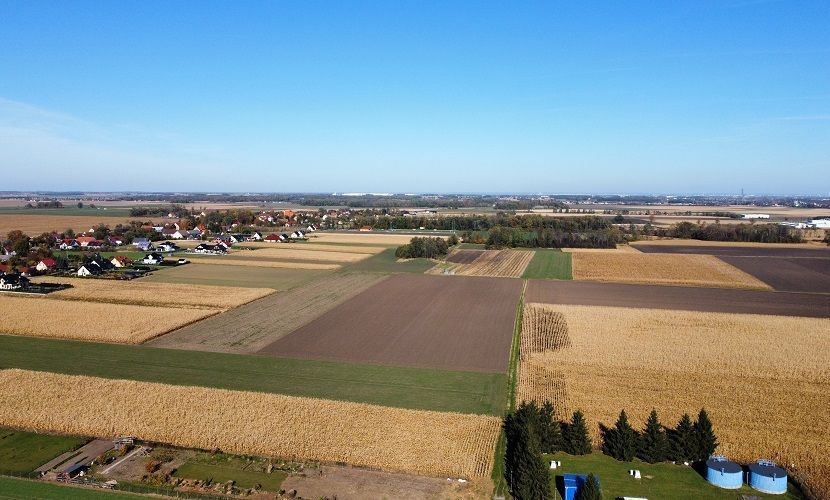 Działka budowlana Wierzbice. Zdjęcie 5