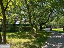 Działka inwestycyjna Katowice os. Tysiąclecia, ul. Mieszka I. Zdjęcie 1