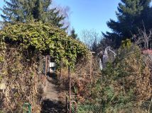 Działka rod Toruń Bielany, szosa Okrężna. Zdjęcie 1