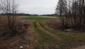 Działka rolno-budowlana Placencja