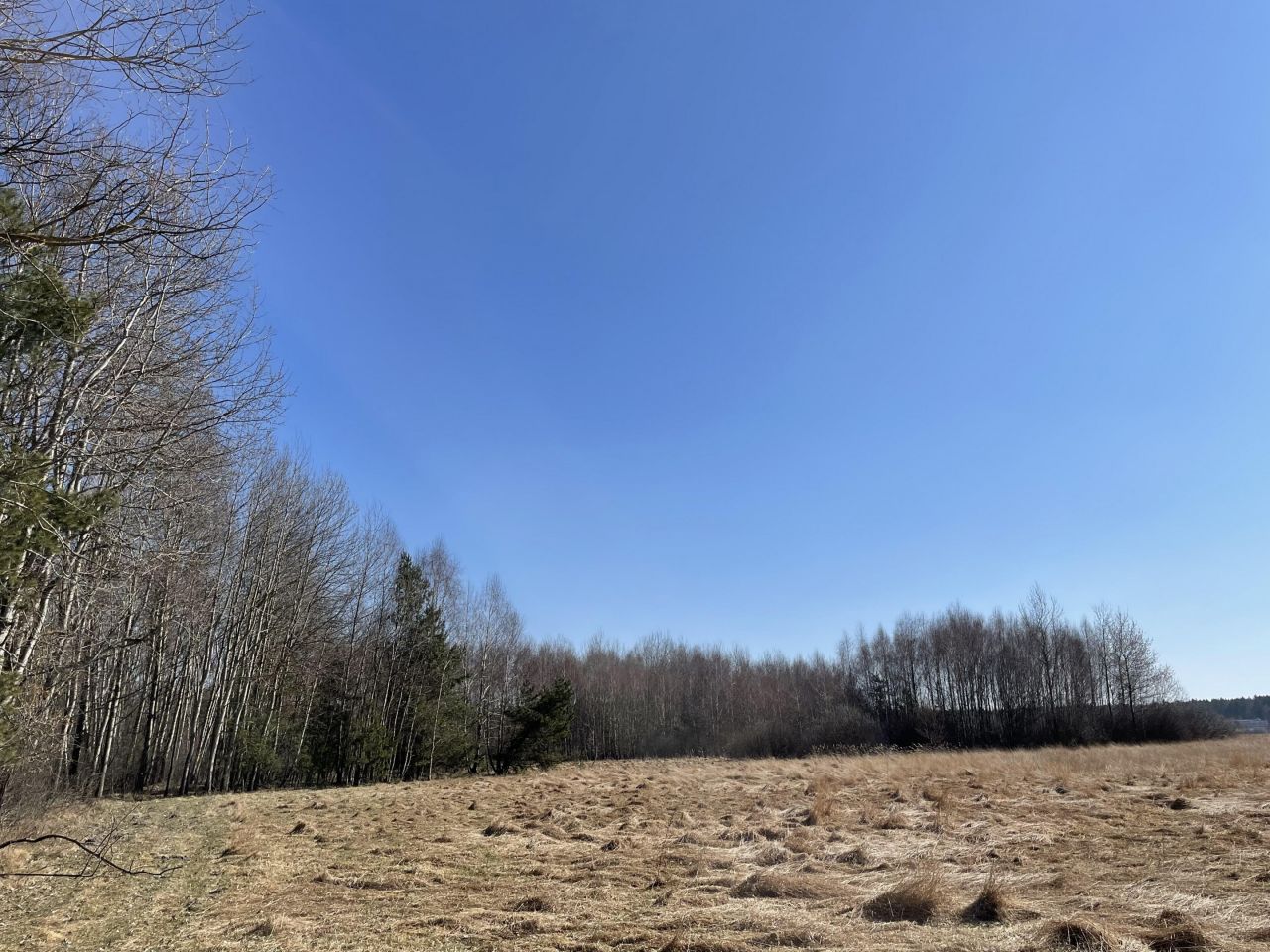 Działka rolna Zalesna. Zdjęcie 10