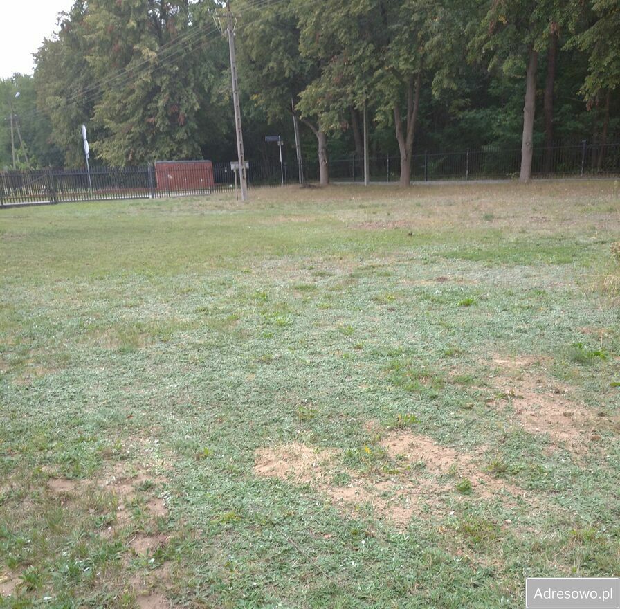 Działka budowlana Rozalin, ul. Winogronowa. Zdjęcie 4