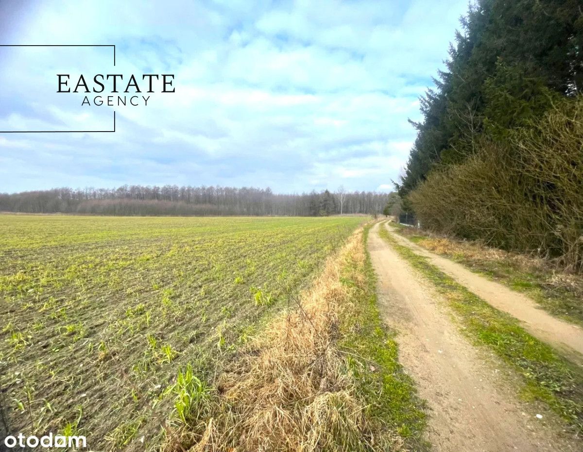 Działka inwestycyjna Harsz. Zdjęcie 9