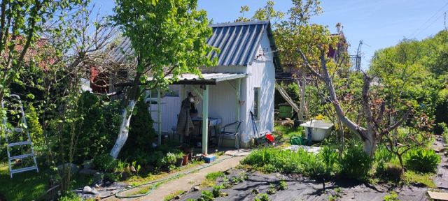 Działka rod Szczecin Płonia, ul. Senna. Zdjęcie 1