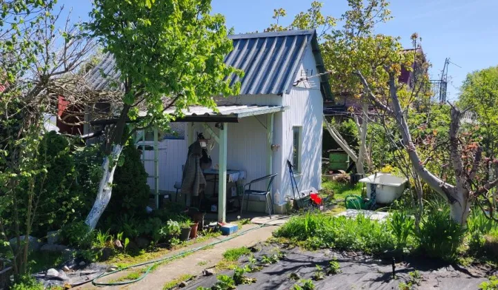 Działka rod Szczecin Płonia, ul. Senna