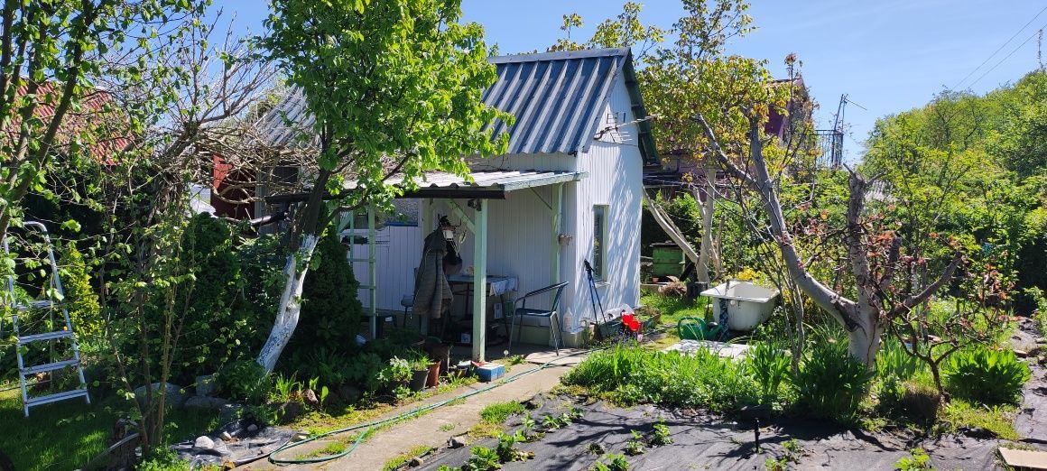 Działka rod Szczecin Płonia, ul. Senna. Zdjęcie 1