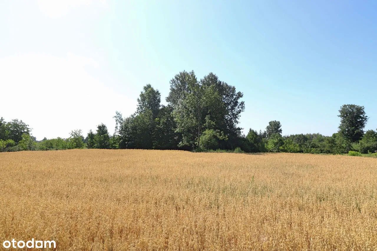 Działka siedliskowa Trojanowice, ul. Miechowska. Zdjęcie 15