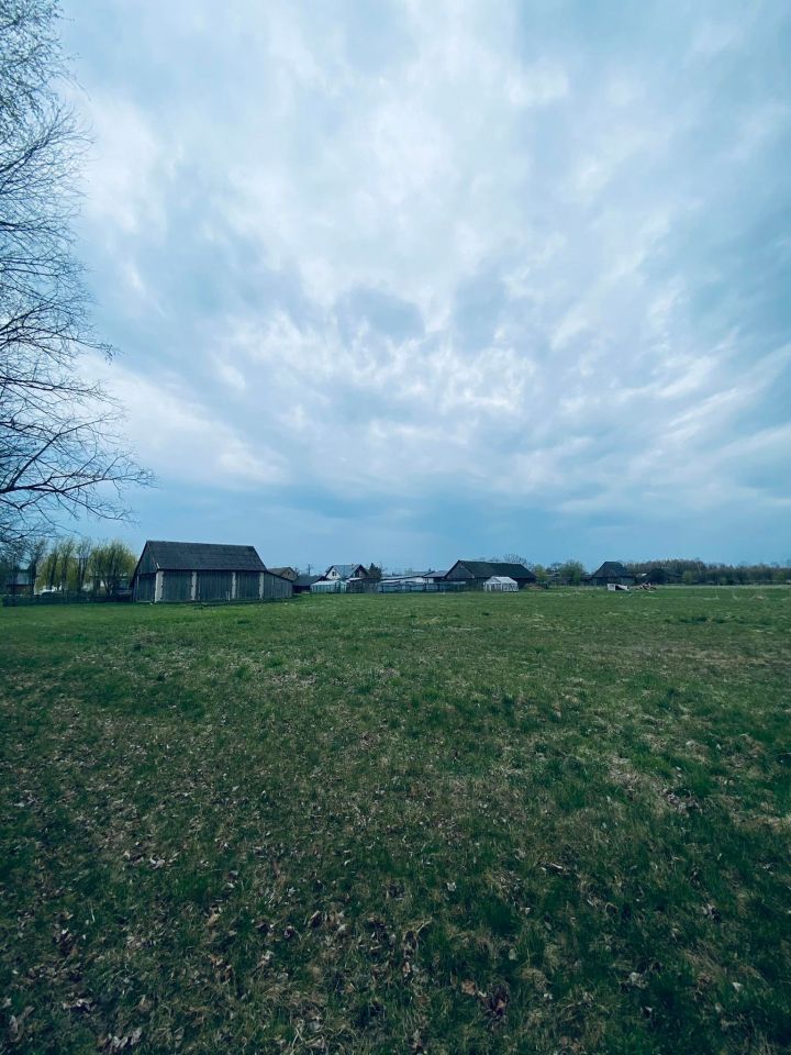 Działka siedliskowa Orzeszkowo Olszyna. Zdjęcie 11