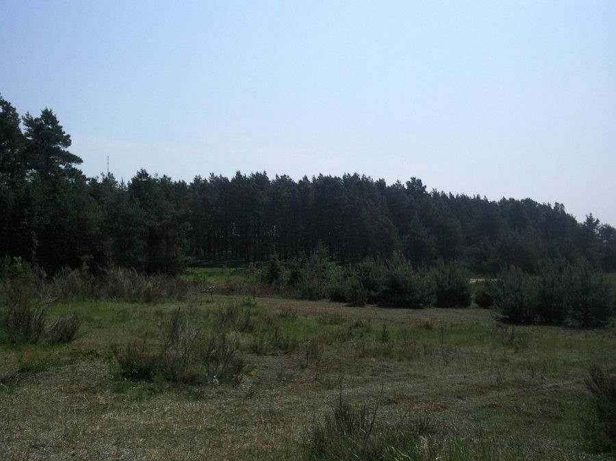 Działka budowlana Dobrzewino, ul. Chłopska. Zdjęcie 4