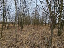 Działka leśna Zgłobień. Zdjęcie 1