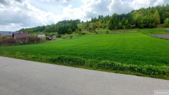 Działka budowlana Racławice. Zdjęcie 1