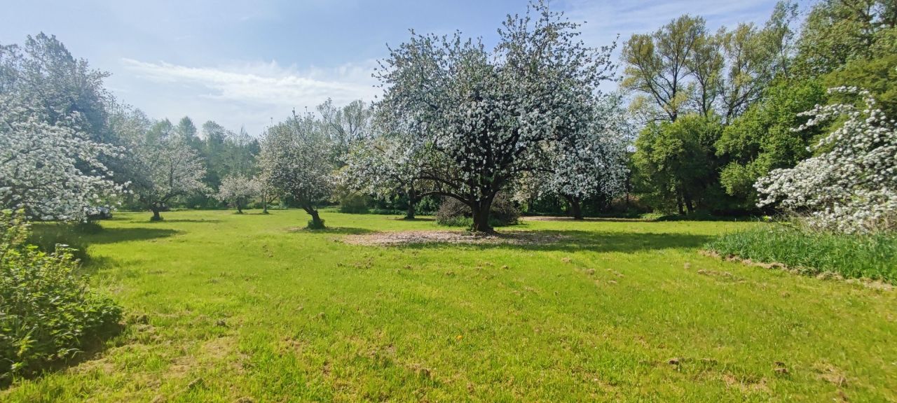 Działka budowlana Tłumaczów Tłumaczówek. Zdjęcie 3