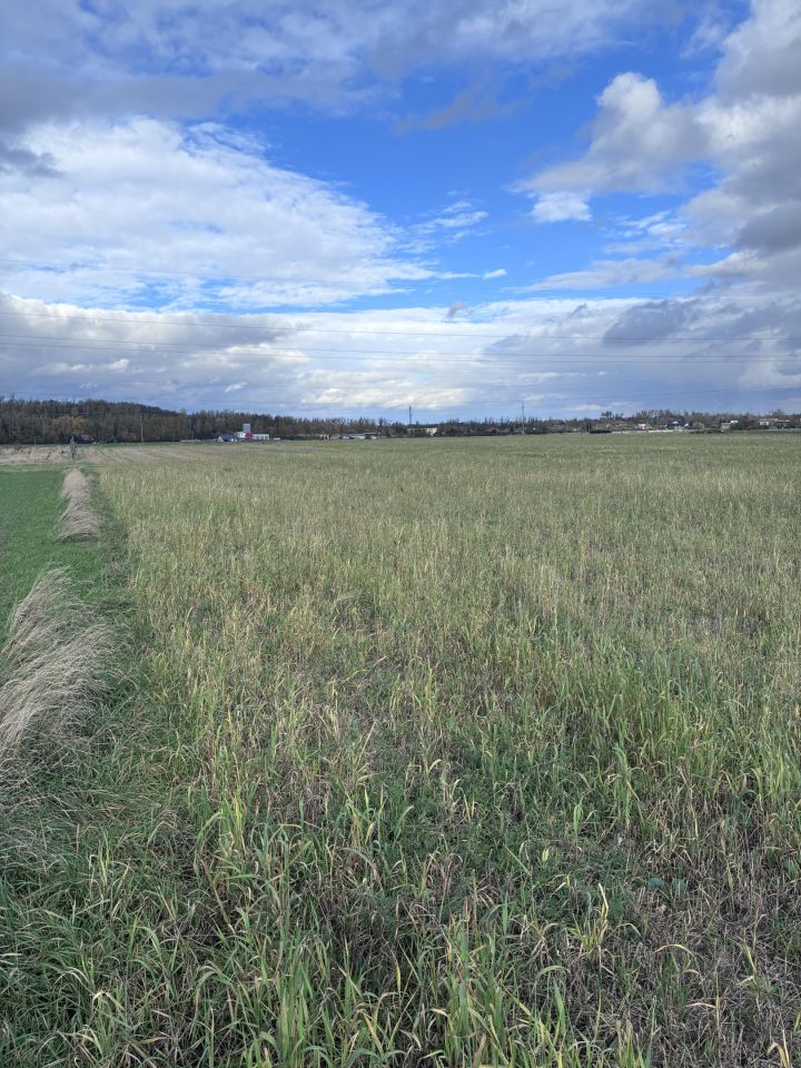Działka rolna Kazimierz Biskupi, ul. Bielawy. Zdjęcie 3