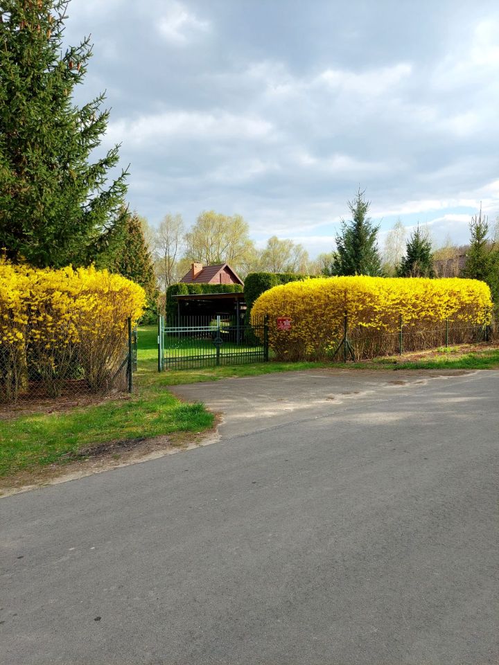 Działka rekreacyjna Łączonek. Zdjęcie 9