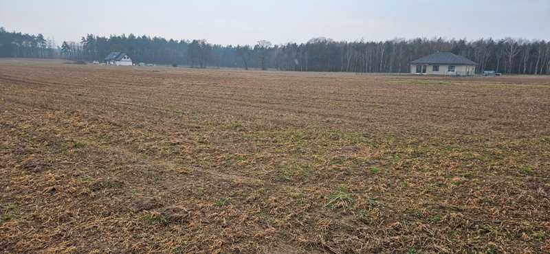 Działka budowlana Nowy Dwór. Zdjęcie 5