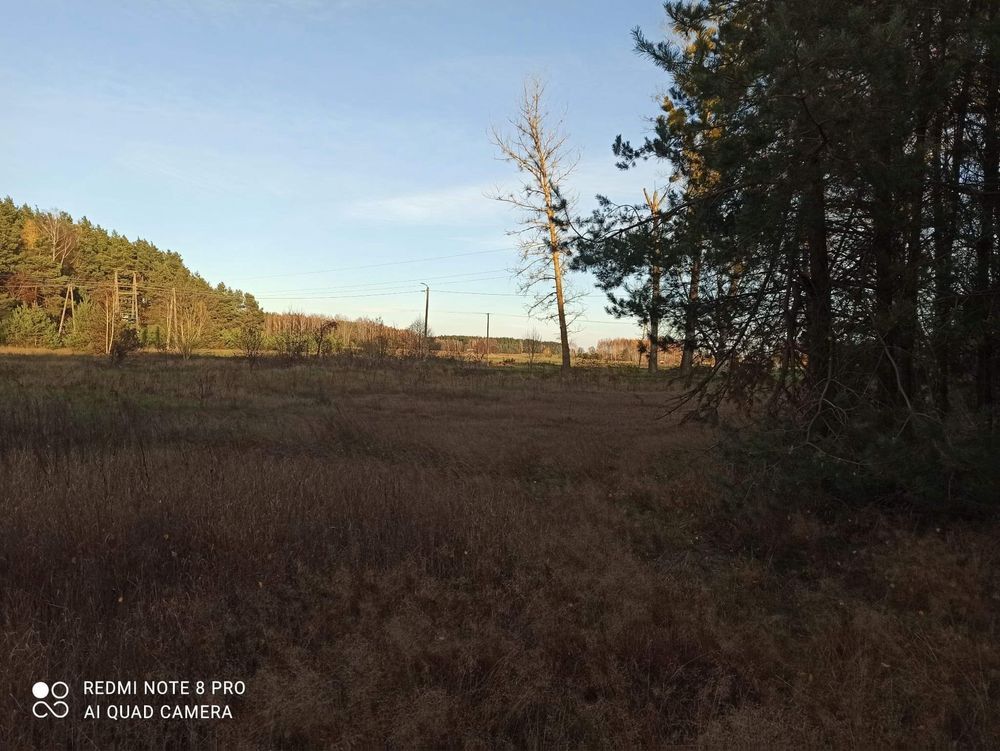 Działka budowlana Łuszcze. Zdjęcie 6