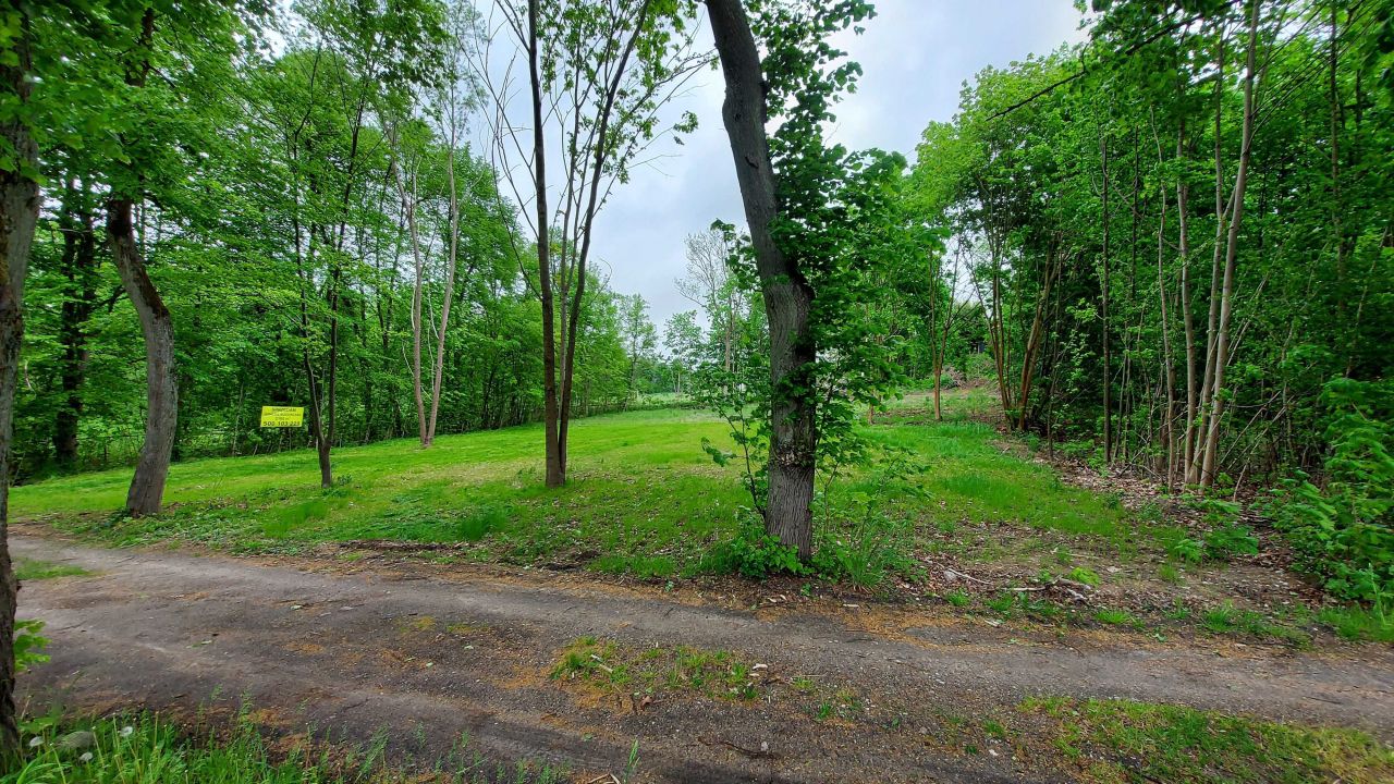 Działka budowlana Pasym. Zdjęcie 2