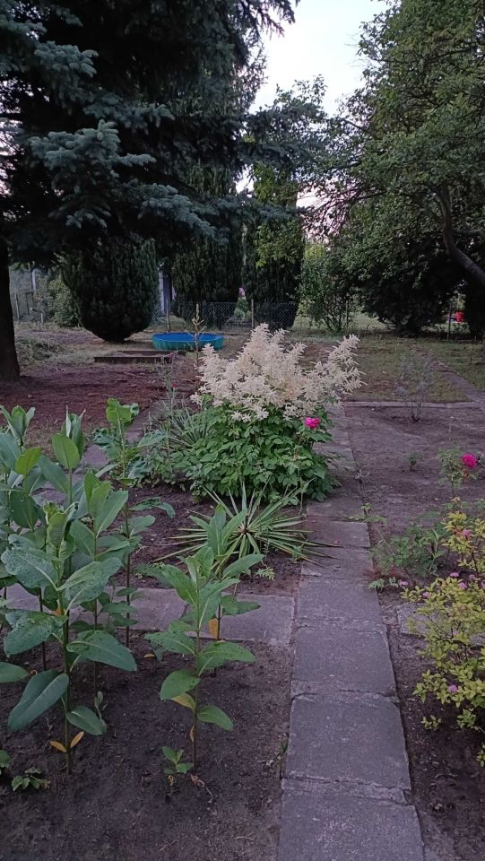 Działka rod Lubin, ul. Spacerowa. Zdjęcie 7