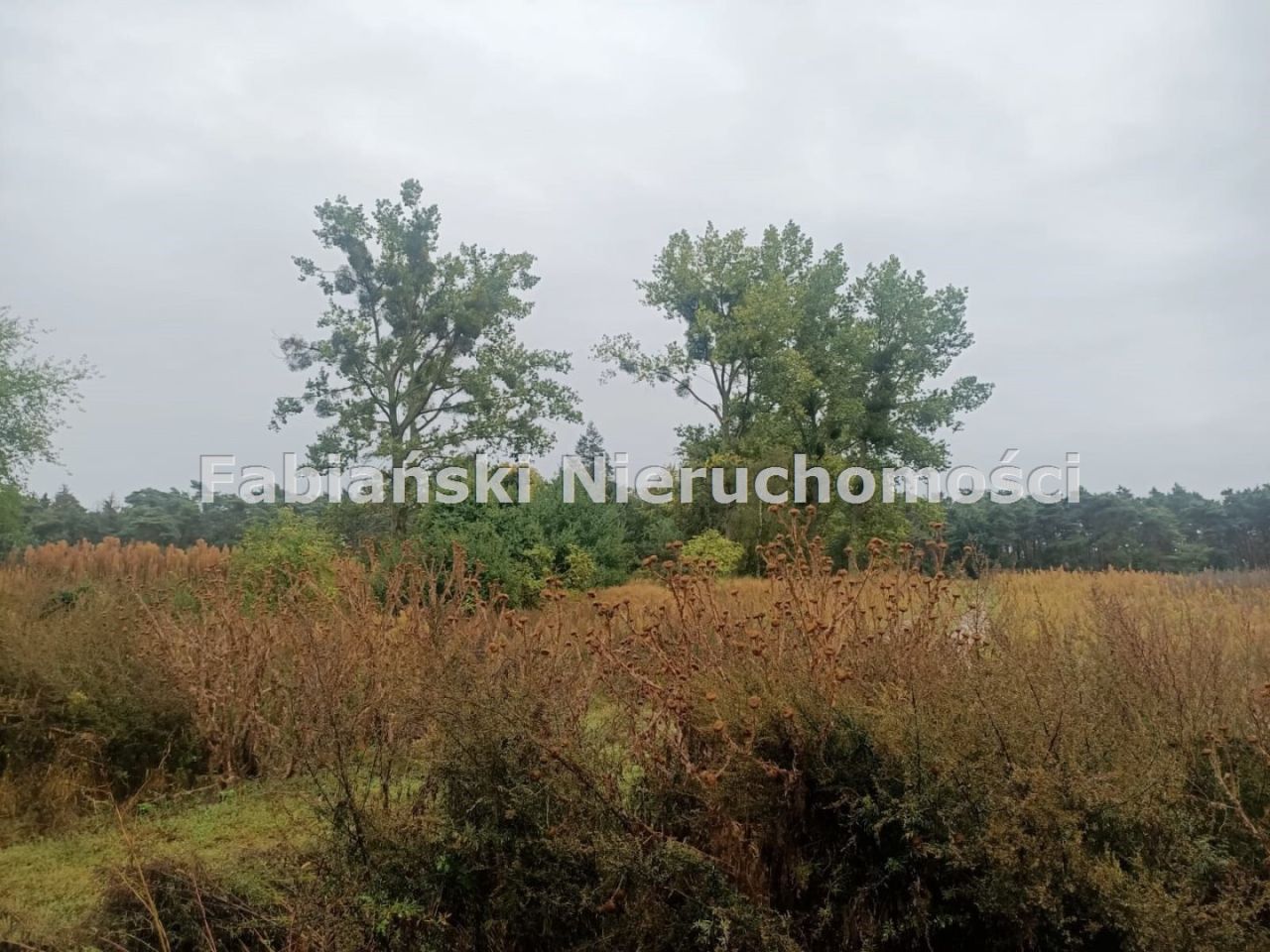 Działka budowlana Lusówko. Zdjęcie 8