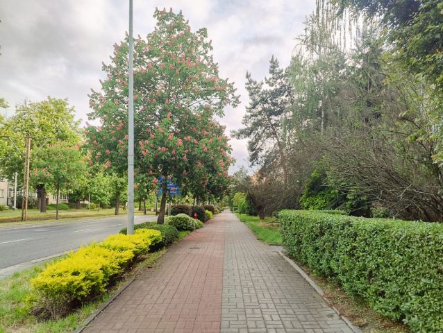 Mieszkanie 2-pokojowe Wrocław Krzyki, ul. Ślężna. Zdjęcie 10