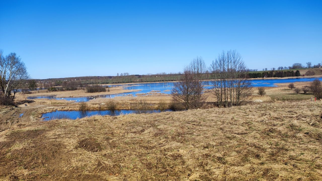 Działka budowlana Unieszewo. Zdjęcie 6